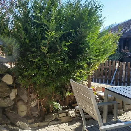 Apartment Mollens Chalet *